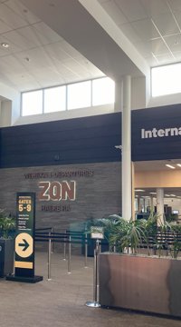 IMG 7382